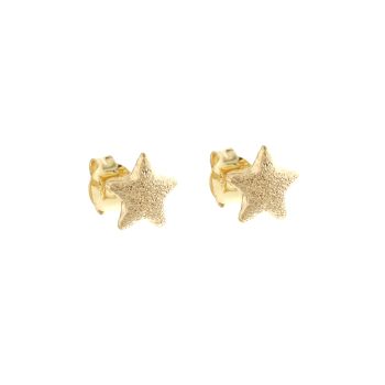 Star shaped earrings