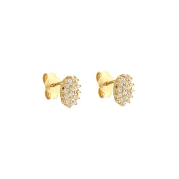 Oval shaped earrings