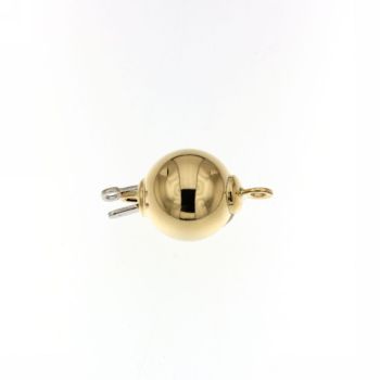 Susta in oro giallo
