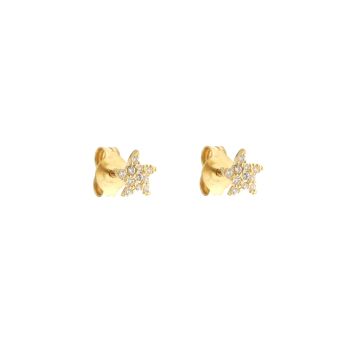 Starfish shaped earrings