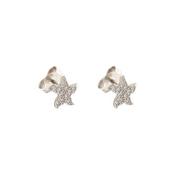 Star fish shaped earrings