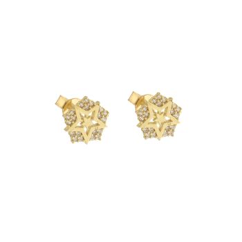 Pentagon zircon earrings