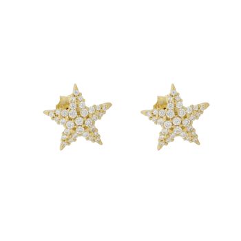 Star shaped earrings with zircons