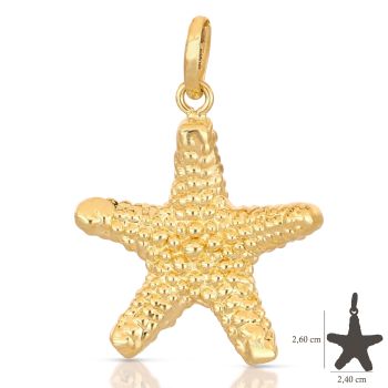 Pendente a forma di stella marina