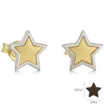 2 color star earrings