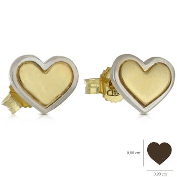 2 color heart earrings