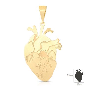 Pendente Cuore anatomico